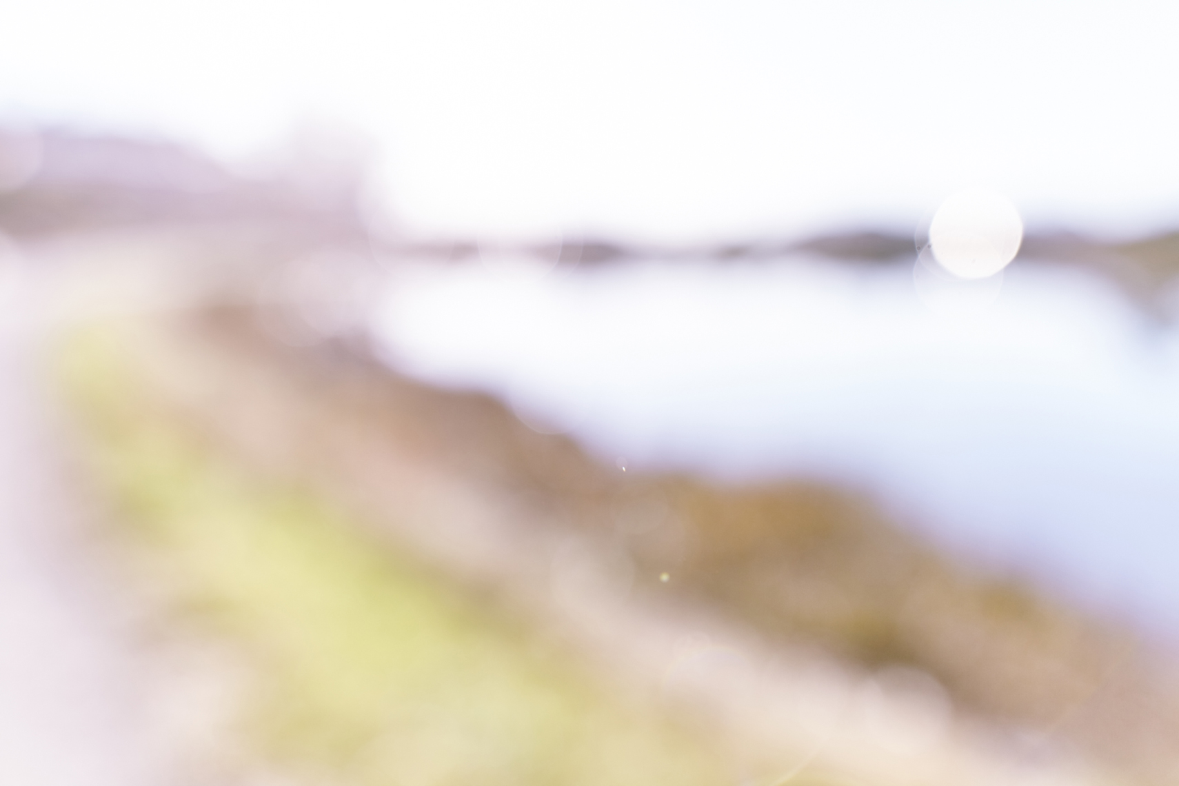 LEIGH_BEISCH_BOL_Corte_Madera_Creek_2_142080529019