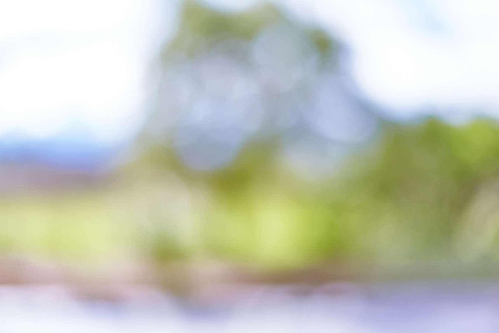 LEIGH_BEISCH_BOL_Napa_14208052901