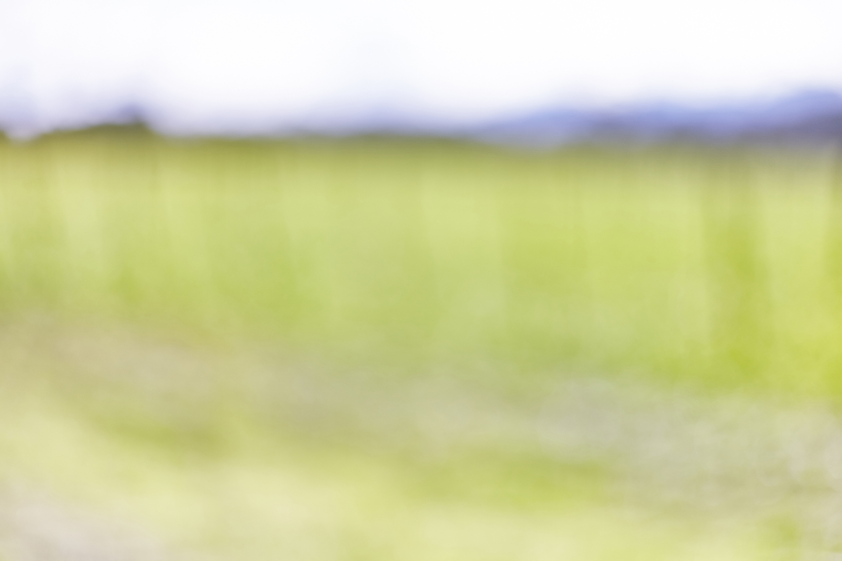 LEIGH_BEISCH_BOL_Napa_14208052905
