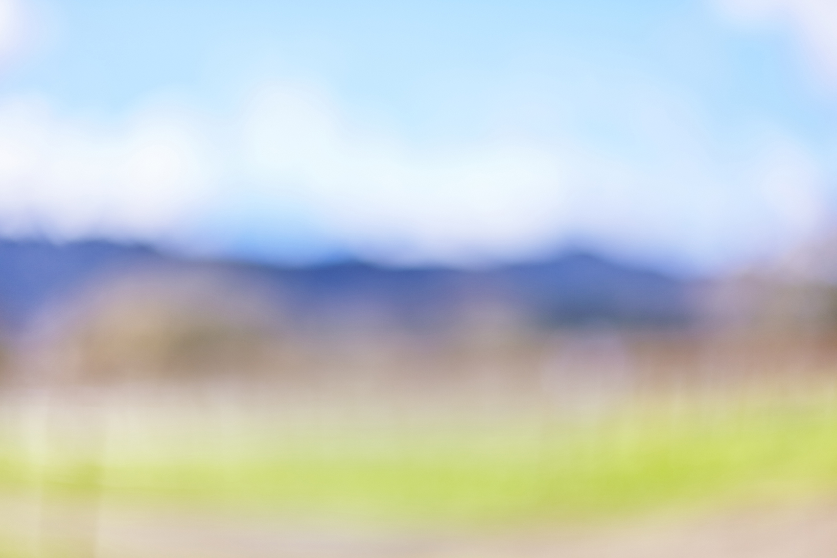 LEIGH_BEISCH_BOL_Napa_14208052906