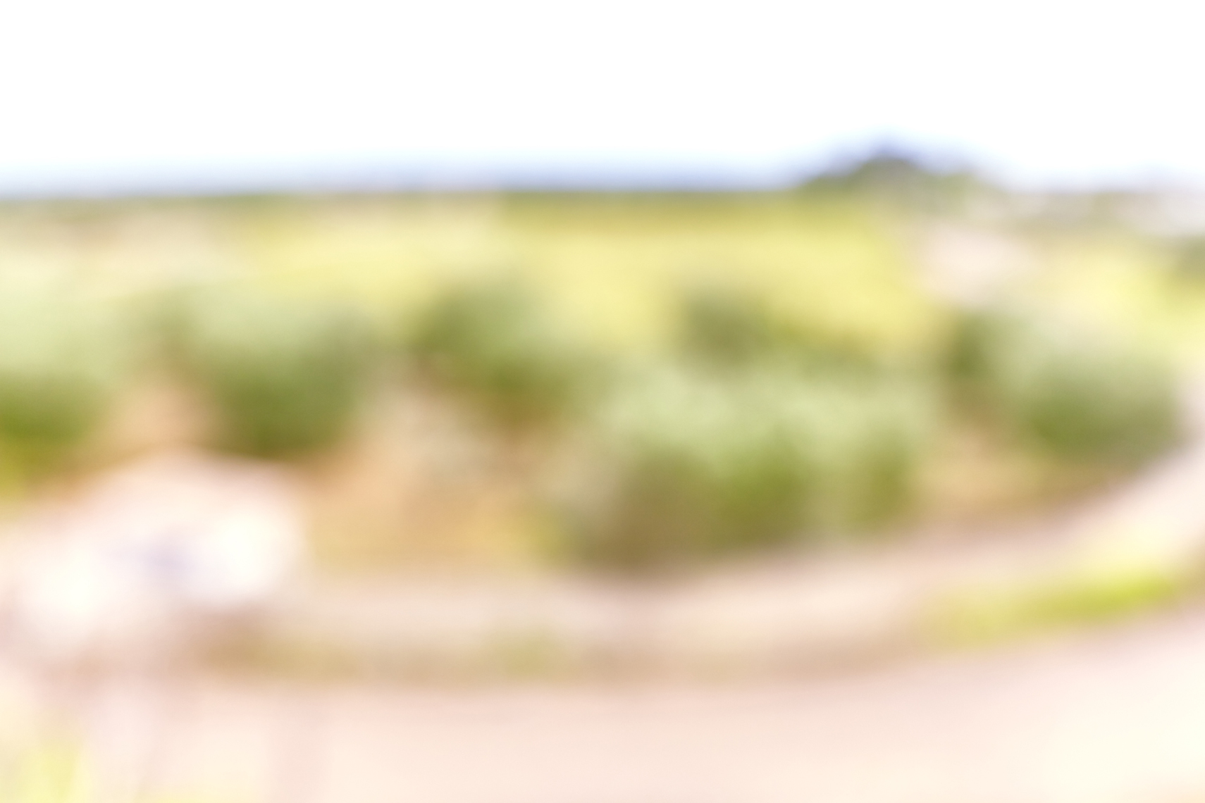 LEIGH_BEISCH_BOL_Puglia_142080529045