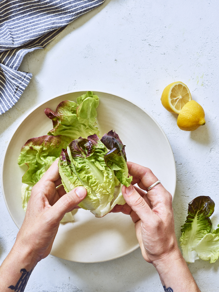 LEIGH_BEISCH_How_To_Lettuce_22705