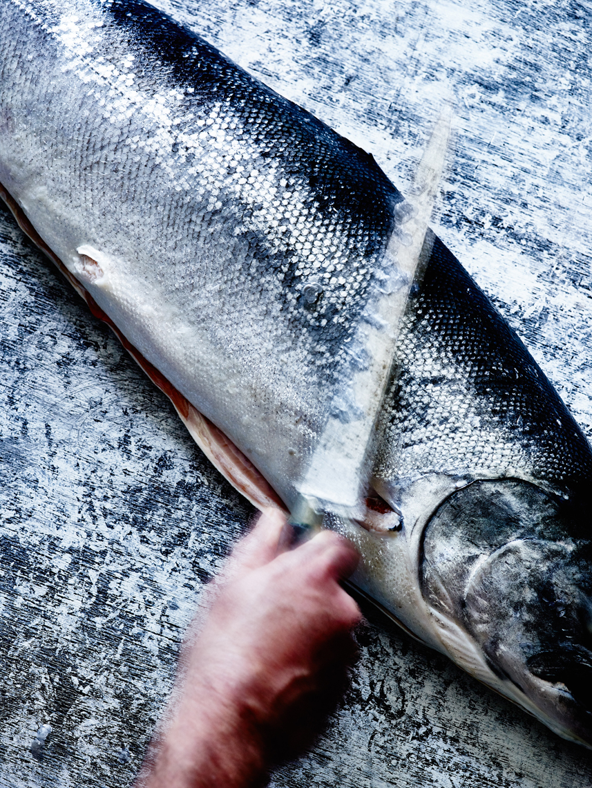 LEIGH_BEISCH_Scaling_Salmon_01_19649