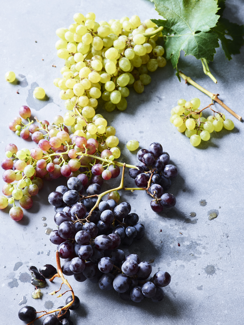 LEIGH_BEISCH_Sonoma_Grape_Variety_V2_22625