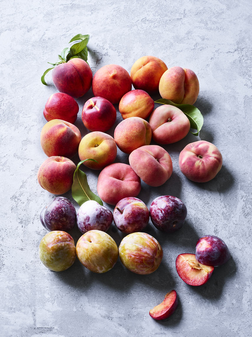 LEIGH_BEISCH_Sonoma_Stonefruit_Variety_22633